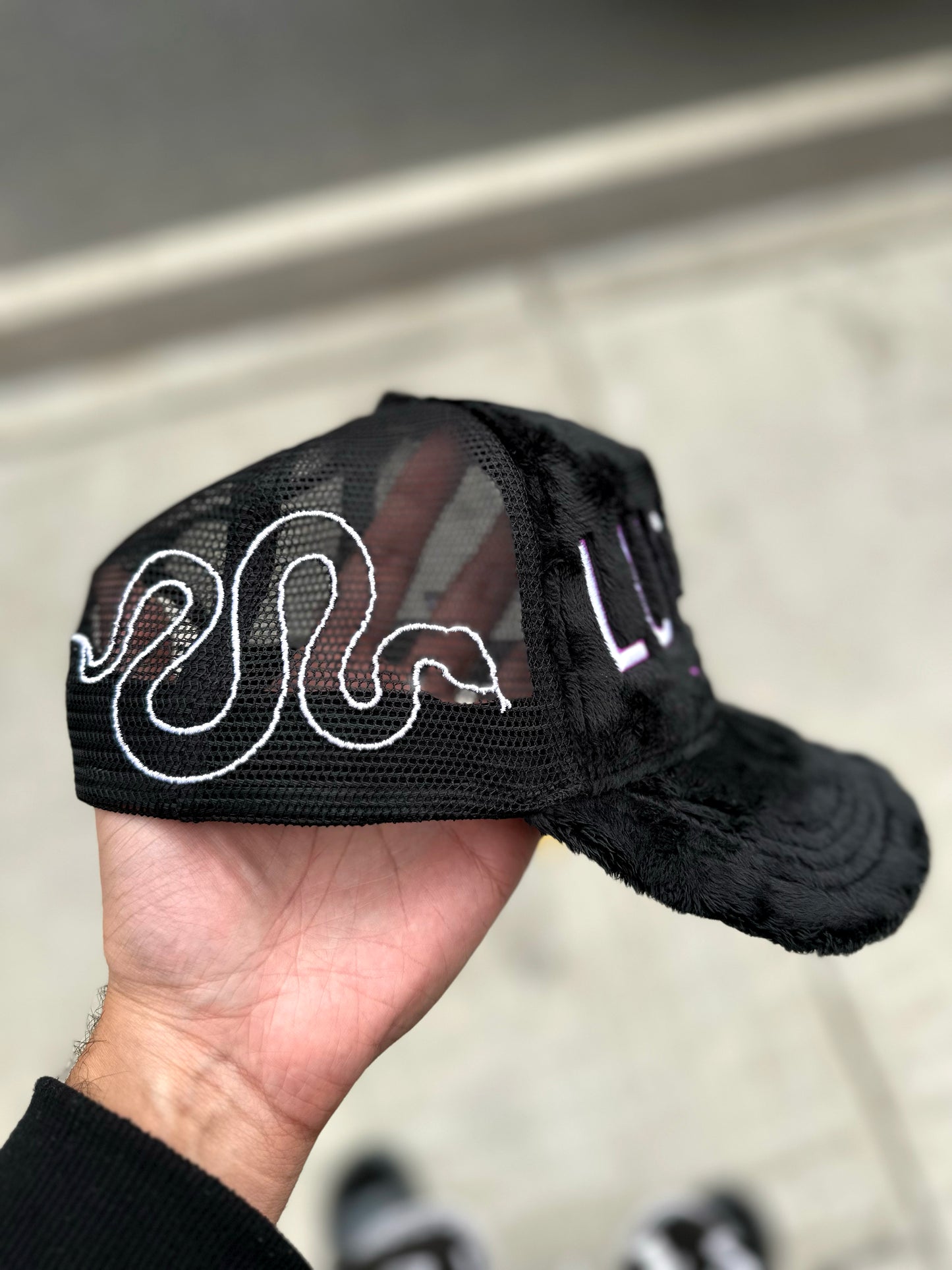 SNAKES ON A CAP